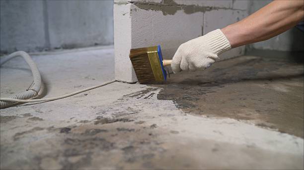 SJ Waterproofing Pros Waterproofing coverage map for Ionia, NY and surrounding area